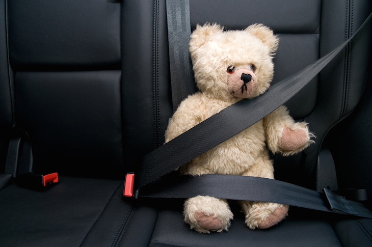 A teddy wearing a seat belt