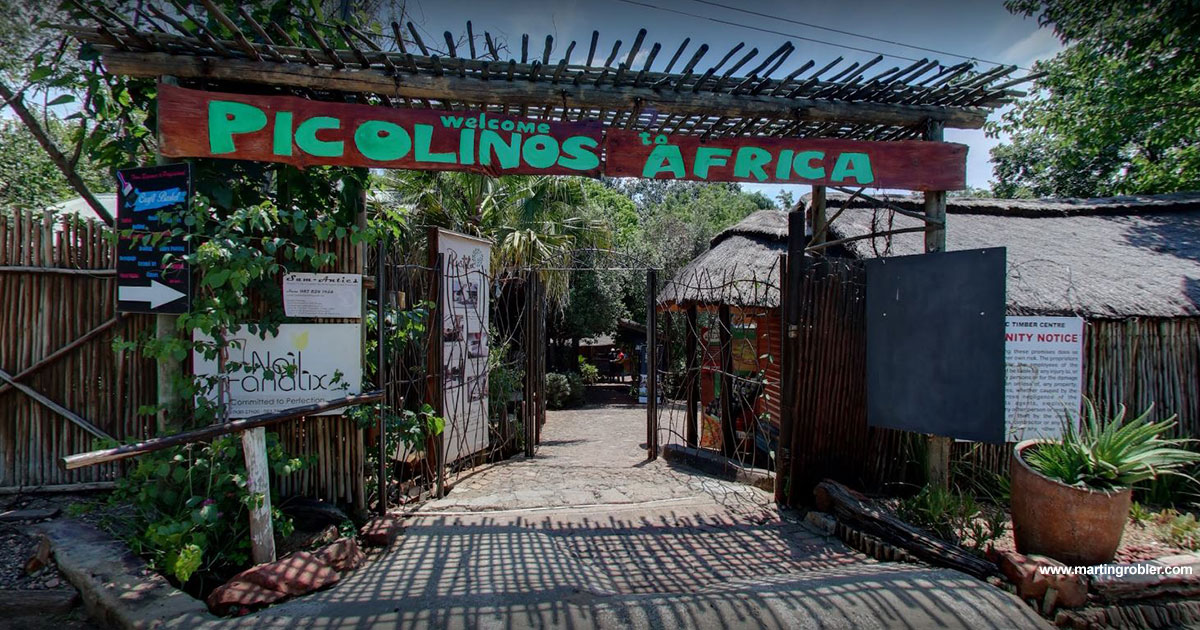 An image of Picolino Africas Entrance