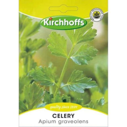 Kirchhoffs Celery Apium Graveolens Seeds Kirchhoffs Celery Apium Graveolens Seeds