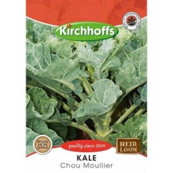 Kirchhoffs Kale Chou Moullier Seeds Kirchhoffs Kale Chou Moullier Seeds