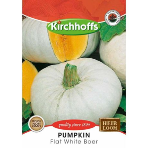 Kirchhoffs Pumpkin Flat White Boer Seeds Kirchhoffs Pumpkin Flat White Boer Seeds