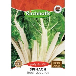 Kirchhoffs Spinach Beet Lucullus Seeds Kirchhoffs Spinach Beet Lucullus Seeds