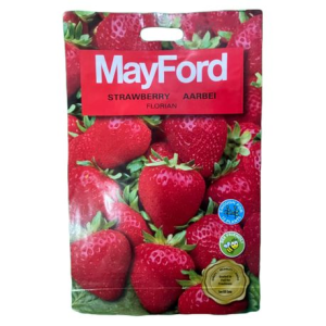 Strawberry Seeds - MayFord Strawberry Seeds - MayFord